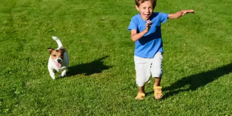 Nằm Mơ Thấy Mình Bị Đuổi Giết Đánh Con Gì?